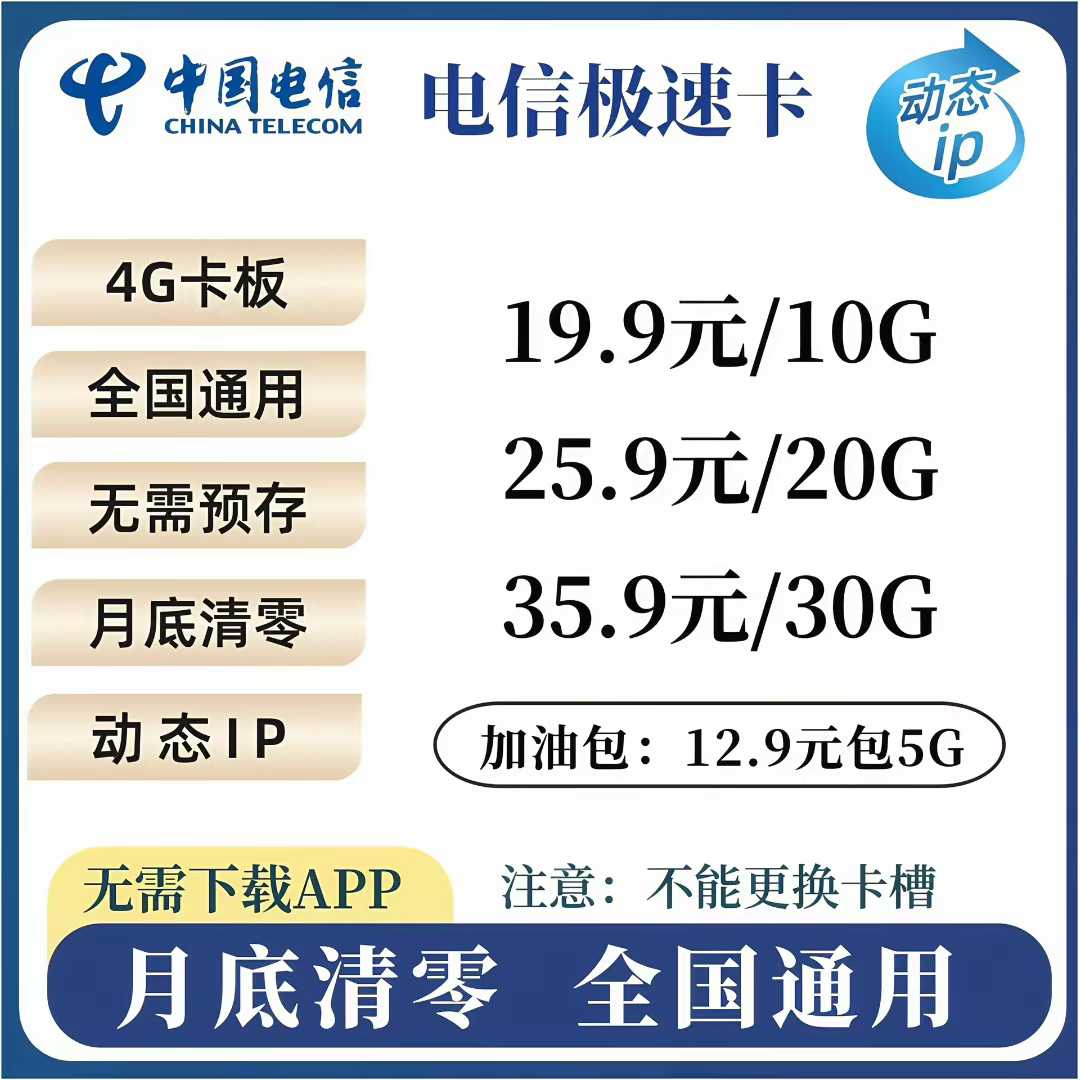 电信动态IP（3张起发货）含首月10G